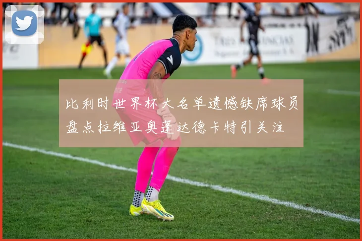 比利时世界杯大名单遗憾缺席球员盘点拉维亚奥蓬达德卡特引关注